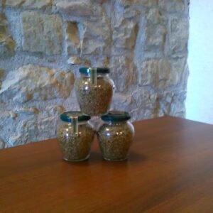 Origano selvatico